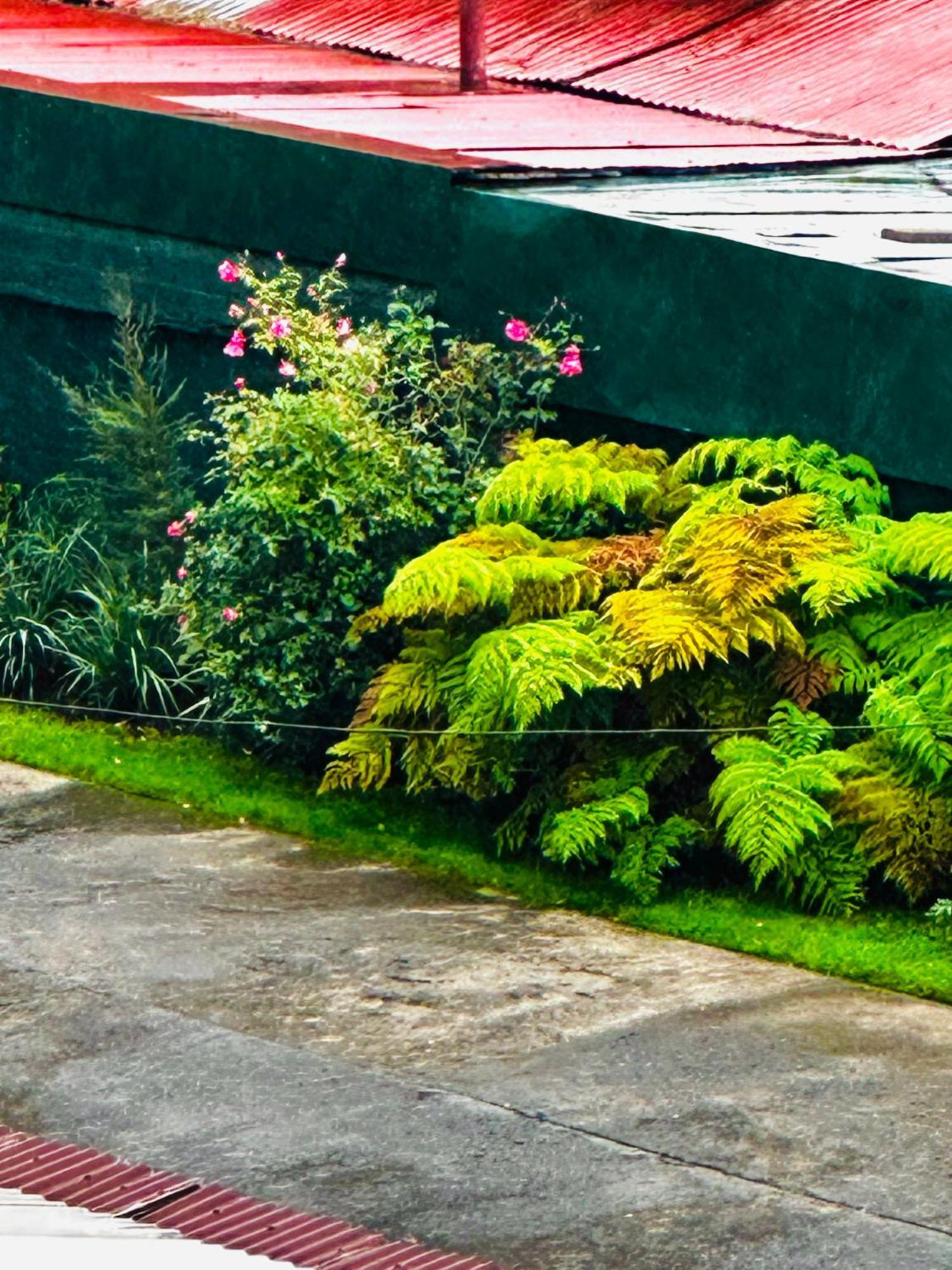 Apartment Moderno Y Equipado Departamento Osorno